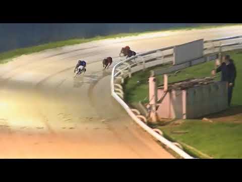 2017 RPGTV HENLOW DERBY - HEAT 3 - T6 QUANTUM LEAP