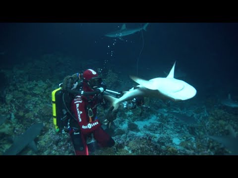 Gombessa IV Genesis - Episode 25