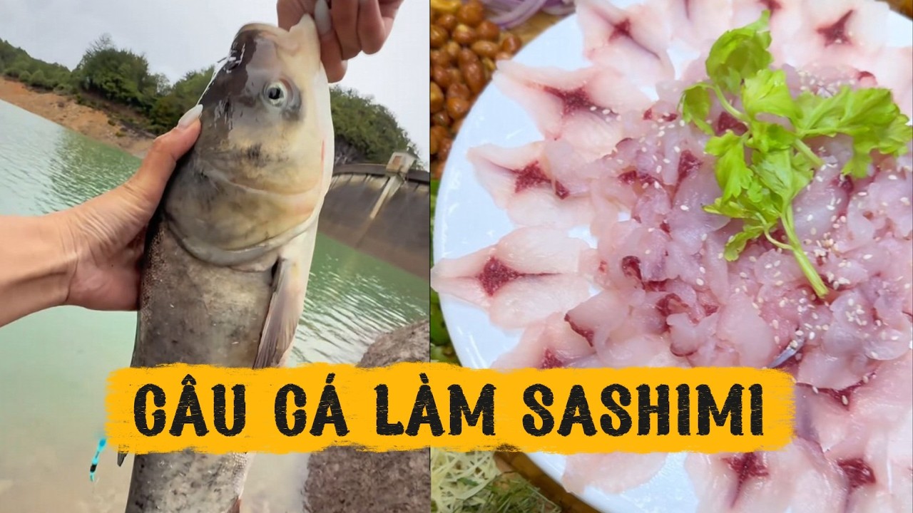 Vào núi câu cá và làm sashimi cá