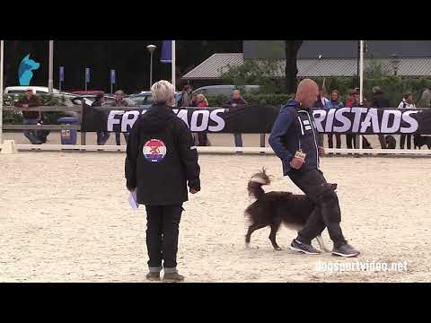 Selection - Mika Jalonen + Tending Fireball/Border Collie - Finland