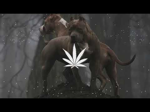 Faruk Sabanci Feat. mingue you call now