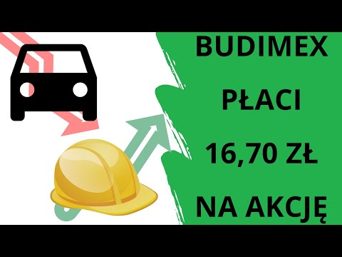 Car parts are a constantly growing business on the stock exchange - Budimex, Auto Partner, Synektik