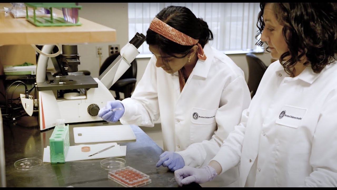 HSCI Musculoskeletal Program