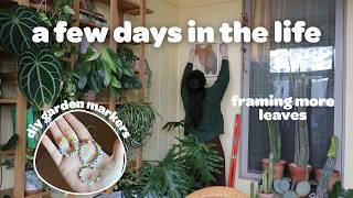 VLOG | framing more leaves, making garden markers, and laying low!