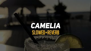 Download lagu CAMELIA | slowed reverb mp3
