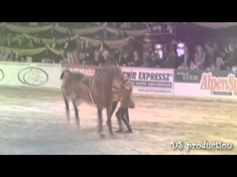 OTP Bank Budapest Világkupa - 2011