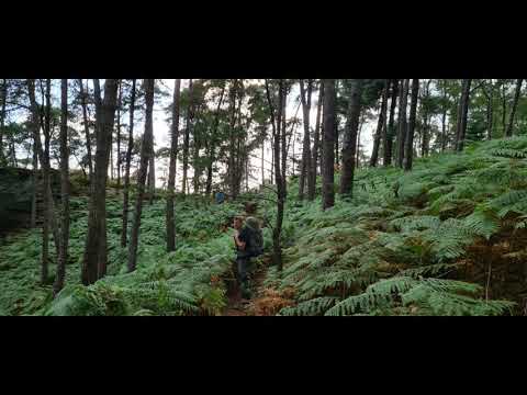 Teutoburger Wald - Hermannsweg - Riskante Übernachtung - Biwak - Dörenther Klippen