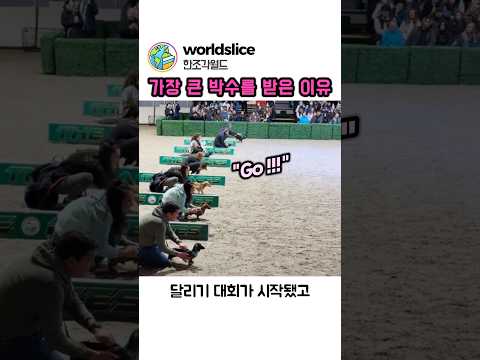 왜 모두가 이 강아지를 응원했을까