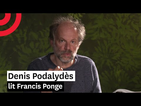 La Rage de l'expression — Lecture par Denis Podalydès