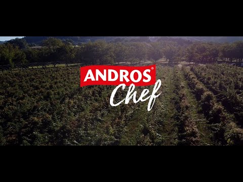 Andros Chef Curious by Nature
