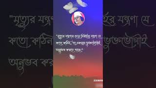 Kazi Nazrul Islam status, Bangla status, photo status,