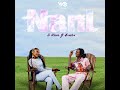 D Voice Ft Zuchu Nani Official Audio Song