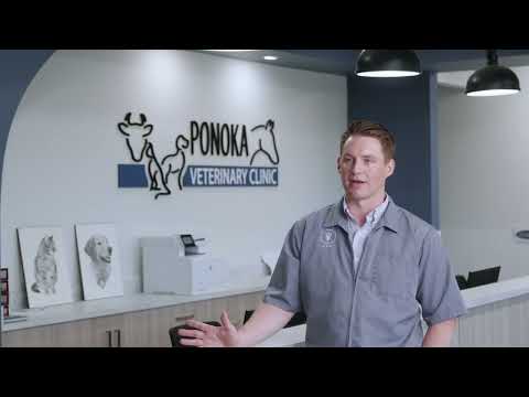 Client Testimonial | Ponoka Veterinary Clinic Built by Eagle Builders