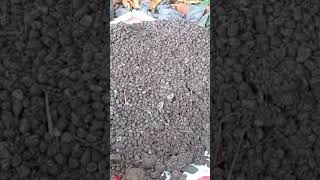 Download lagu How to make organic fertilizer from goat manure #farmer #youngfarmer #chilipepper #farmingbuddy mp3