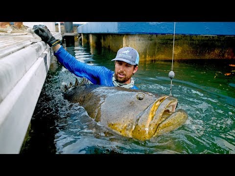BIGGEST Fish Caught from a Dock