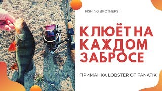 Новая приманка фанатик 2020