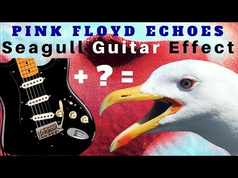 The 'Seagull' Effect on Echoes by Pink Floyd (Reversed Wah + Delay)