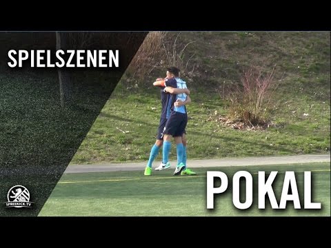 VSG Altglienicke - FC Viktoria 1889 Berlin (Halbfinale, Berliner Pokal der 1. Herren 2016/2017)