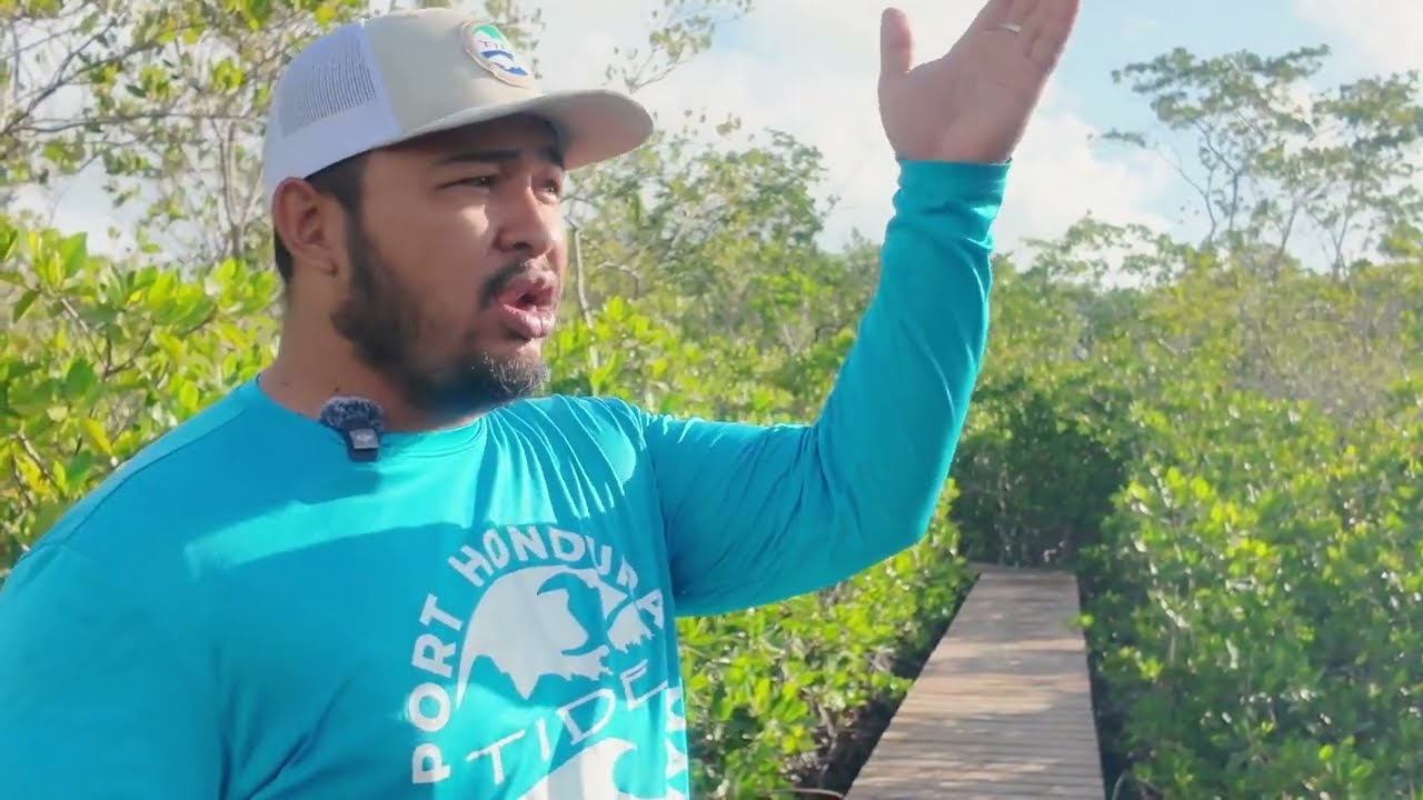 Belize Mangrove Friendly Development Challenge 2025: Toledo Institute for Development & Environment