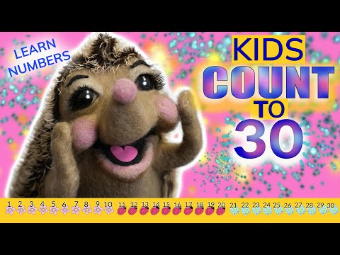 Kids Count with Missy May Hedgehog - Learn numbers to 30!