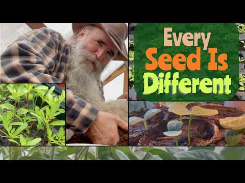 Seed Starting Secrets: Light, Heat, Soil, Cell Size Explored