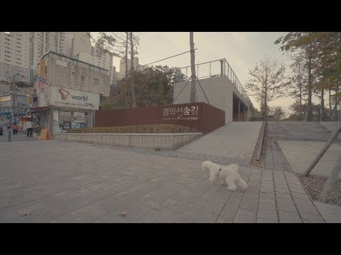 Gyeongui Line Forest Park in Yeonnam-dong,Seoul