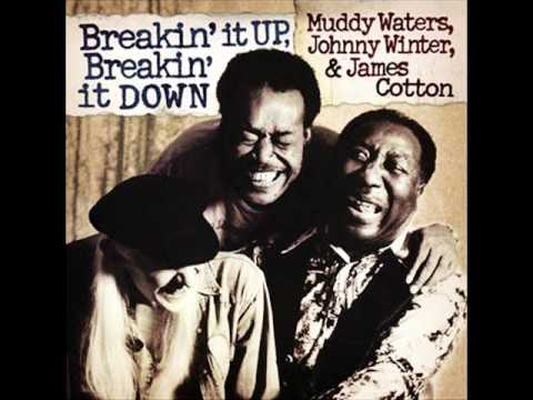 Muddy Waters, Johnny Winter & James Cotton - Love Her With A Feeling.wmv