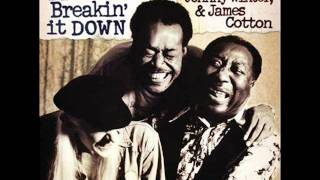 Muddy Waters, Johnny Winter & James Cotton - Love Her With A Feeling.wmv