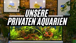 I have NEVER shown you these AQUARIUMS before / REUPLOAD