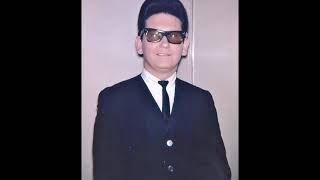 Roy Orbison - City Life