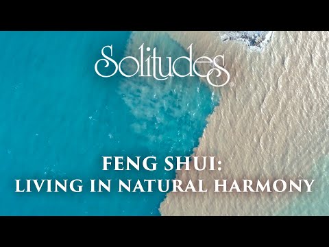 Dan Gibson’s Solitudes - Yin and Yang | Feng Shui: Living in Natural Harmony