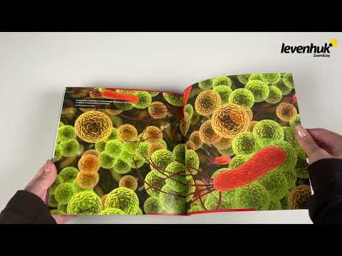 Книга знаний «Невидимый мир» | Четыре глаза – краткий видеообзор