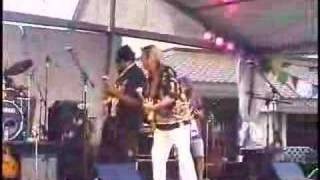 Merrell Fankhauser and Willie Nelson - Wipe Out
