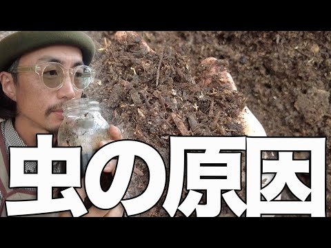 堆肥に赤い虫がいるのは正常ですか?なぜ彼らはタンクから離れるのでしょうか？  庭園