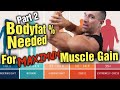 How Much Body Fat and Calories are Needed for Maximum Muscle Growth? (Part 2 - Cutting)