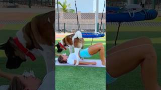 This Dog ATTACKED My Workout 😱🐶 #shorts #dogshorts #funnydogs