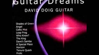Guitarist David Doig performing 