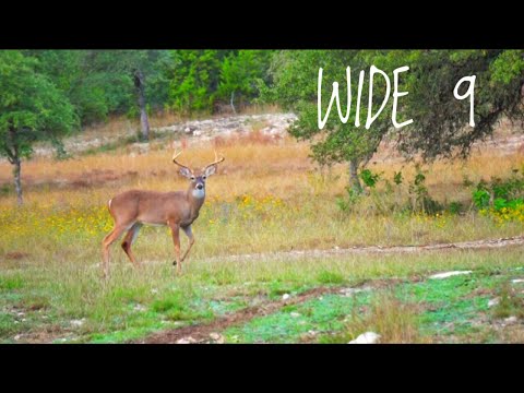 download lagu mp3 mp4 Hunting In Austin Texas, download lagu Hunting In Austin Texas gratis, unduh video klip Hunting In Austin Texas