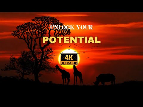 Unleash Your Inner Beast: Lessons from the Wild