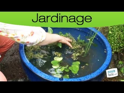 comment construire un bassin de jardin