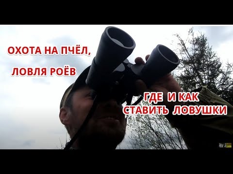 Пчеловодство. Роеловство. Ловля роев. Охота на пчёл. Где  и как ставить ловушки для пчёл.