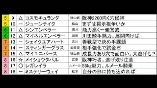 宝塚記念2026直前予想！良馬場確定で武豊タバル苦しいか？クロワデュノール本命か