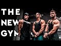 The NEW Gym w/Steve Cook & Shaun Stafford | Nathan McCallum