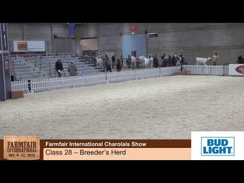 FF - Charolais Show - Nov 11 2022 - Ring 1
