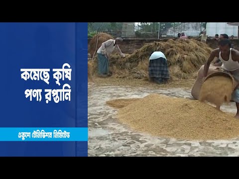চারমাসে কৃষিপণ্যের রপ্তানি কমেছে ২৪ শতাংশ