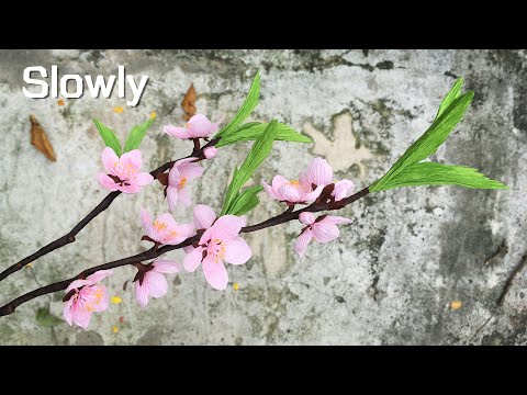 ABC TV | How To Make Peach Blossom Flower From Crepe Paper (Slowly) - Craft Tutorial