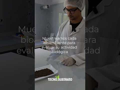🌽 CASO REAL EN MAÍZ | 📍 TABOSSI, ENTRE RÍOS