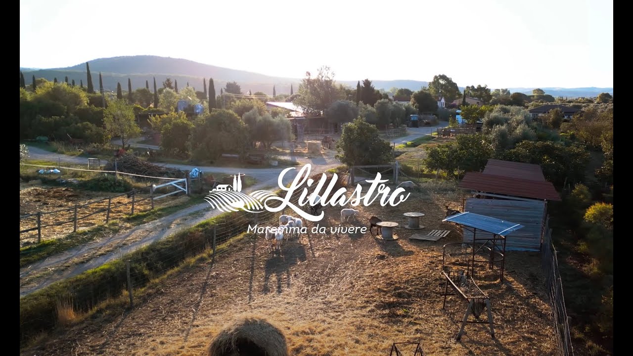 Video Lillastro