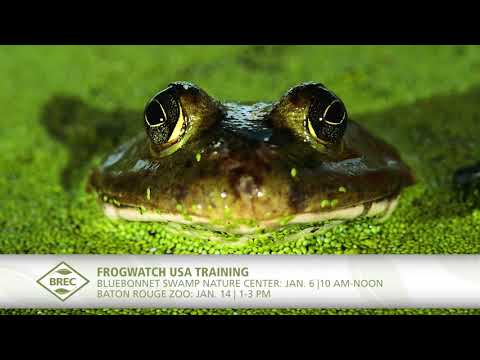 This Month at BREC - January 2018