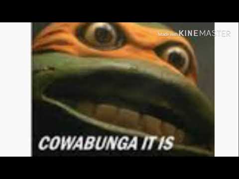 Cowabunga it is - original song